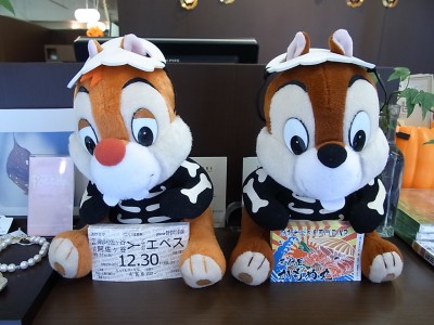 RIMG1248